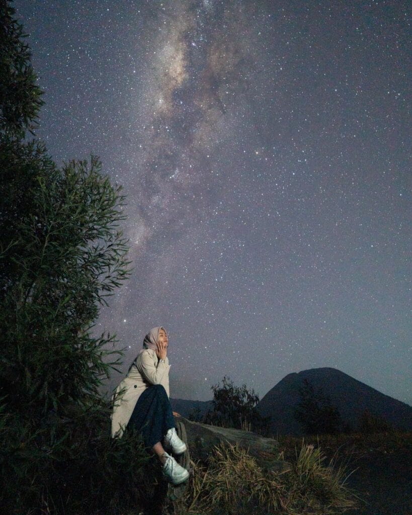 Mount Bromo Milky Way in tree