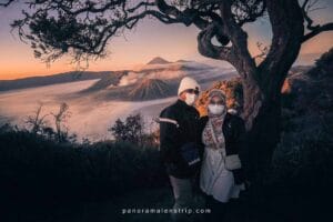 Bromo Sunrise picnic moment with travelers standing under ancient trees in misty mountain forest, East Ja