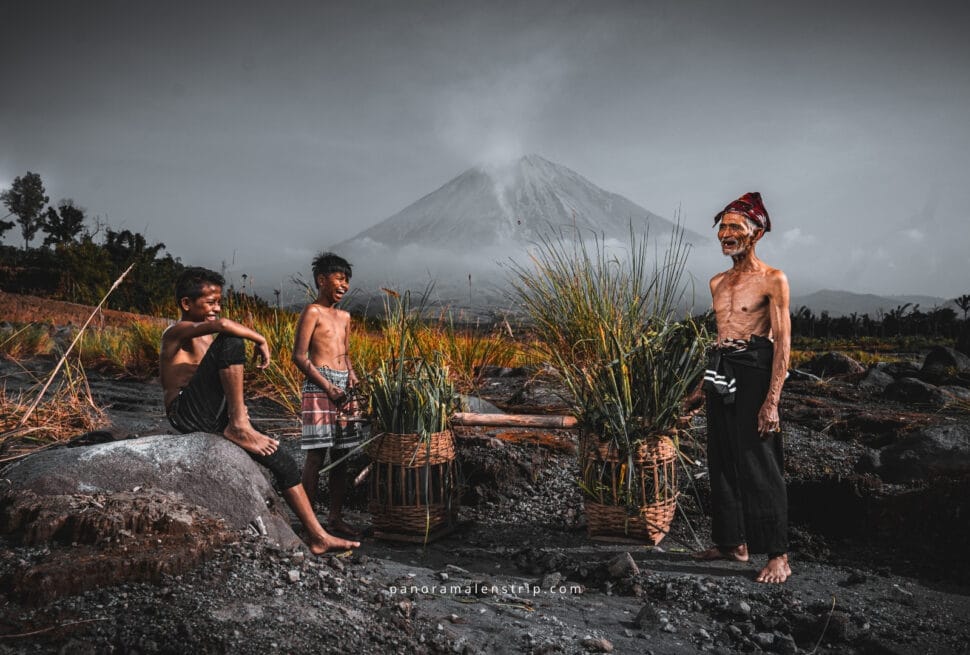 Tenggeresse Mount Bromo villagers harvesting grass in a volcanic landscape with traditional baskets, featuring a misty mountain backdrop and cultural rural life in the Tengger highlands.