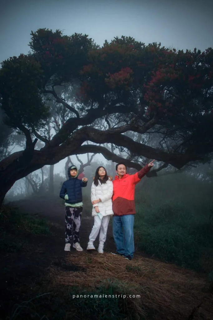 Travelers enjoying a post sunrise temperature picnic in East Java misty mountain forest