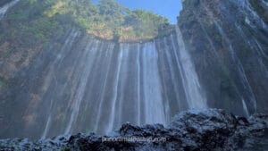 Wide-angle landscape shot of Tumpak Sewu Waterfall in Lumajang, Indonesia, highlighting the multiple water flows against a steep mossy cliff.