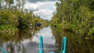 View from the bow of a Klotok boat navigating the Sekonyer River during high water season, January 2026.