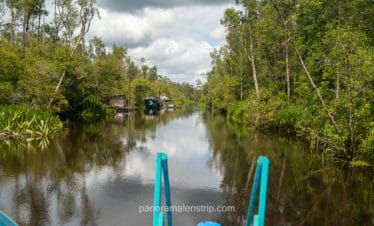 View from the bow of a Klotok boat navigating the Sekonyer River during high water season, January 2026.