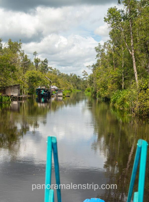 View from the bow of a Klotok boat navigating the Sekonyer River during high water season, January 2026.