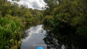 The Sekonyer River reflecting cloudy skies and lush rainforest vegetation in January 2026.