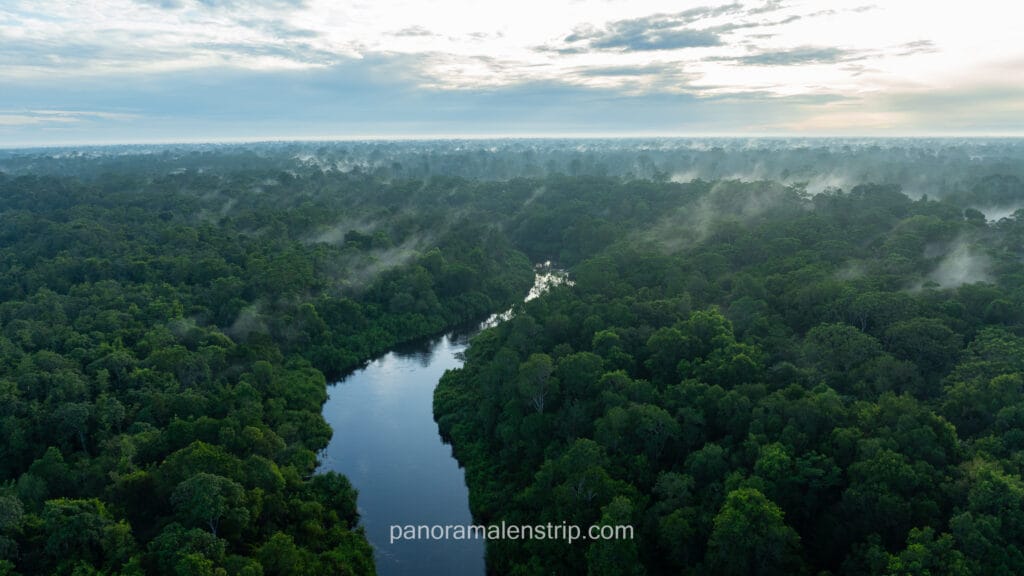 Aerial drone view of the winding Sekonyer River cutting through the lush, mist-covered Borneo rainforest canopy in Tanjung Puting National Park during sunrise.