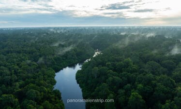 Aerial drone view of the winding Sekonyer River cutting through the lush, mist-covered Borneo rainforest canopy in Tanjung Puting National Park during sunrise.