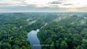 Misty Sunrise Over Tanjung Puting Rainforest Aerial View"