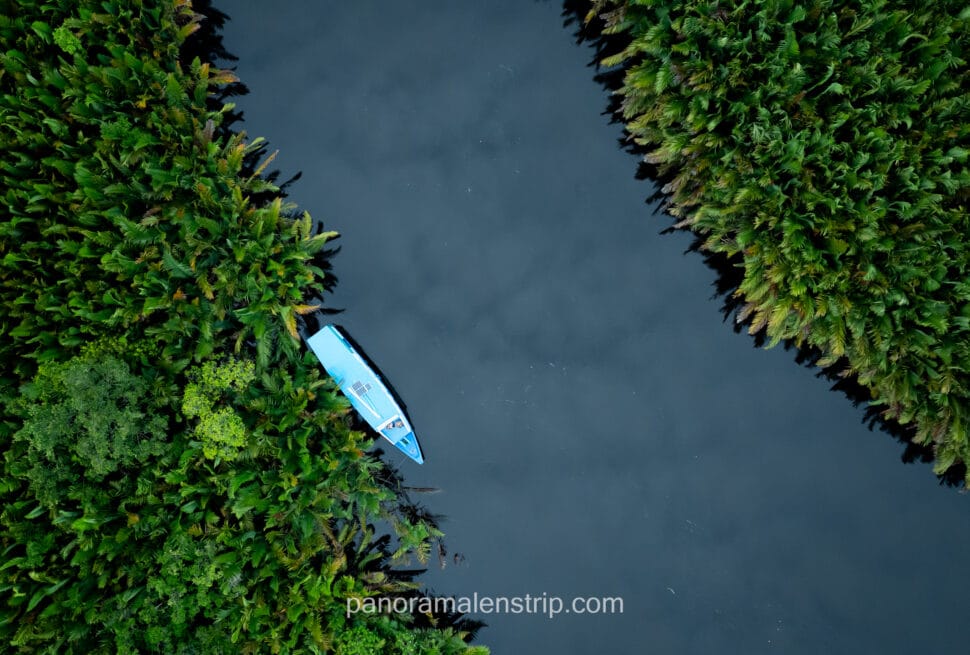 Top-down aerial view of a white Klotok tour boat navigating a narrow river channel surrounded by thick Nipa palms.