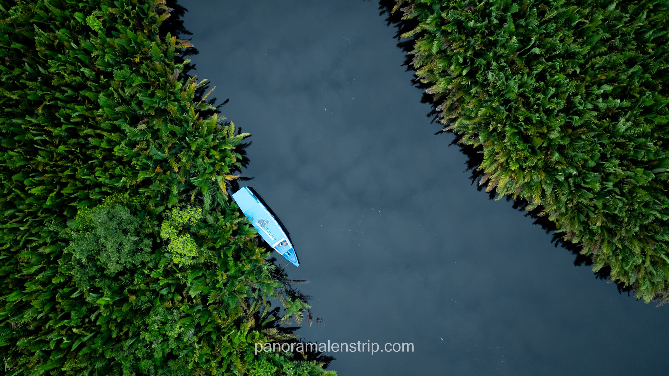 Top-down aerial view of a white Klotok tour boat navigating a narrow river channel surrounded by thick Nipa palms.