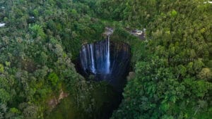 Tumpak Sewu photography featuring a high-angle aerial view of Tumpak Sewu Waterfall plunging into a deep circular canyon, surrounded by dense tropical rainforest and palm trees in East Java, Indonesia.