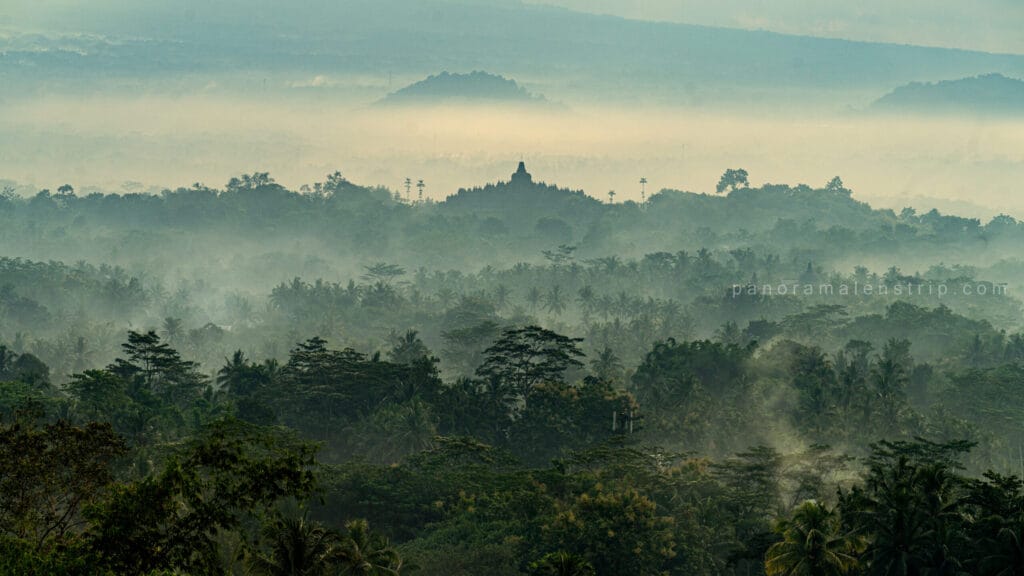Borobudur tour sunrise view with misty tropical forest layers and the silhouette of Borobudur Temple rising through golden morning haze in Central Java, Indonesia — a poetic dawn scene with palm trees, soft sunlight, and serene jungle atmosphere.