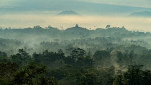 Borobudur tour sunrise view with misty tropical forest layers and the silhouette of Borobudur Temple rising through golden morning haze in Central Java, Indonesia — a poetic dawn scene with palm trees, soft sunlight, and serene jungle atmosphere.