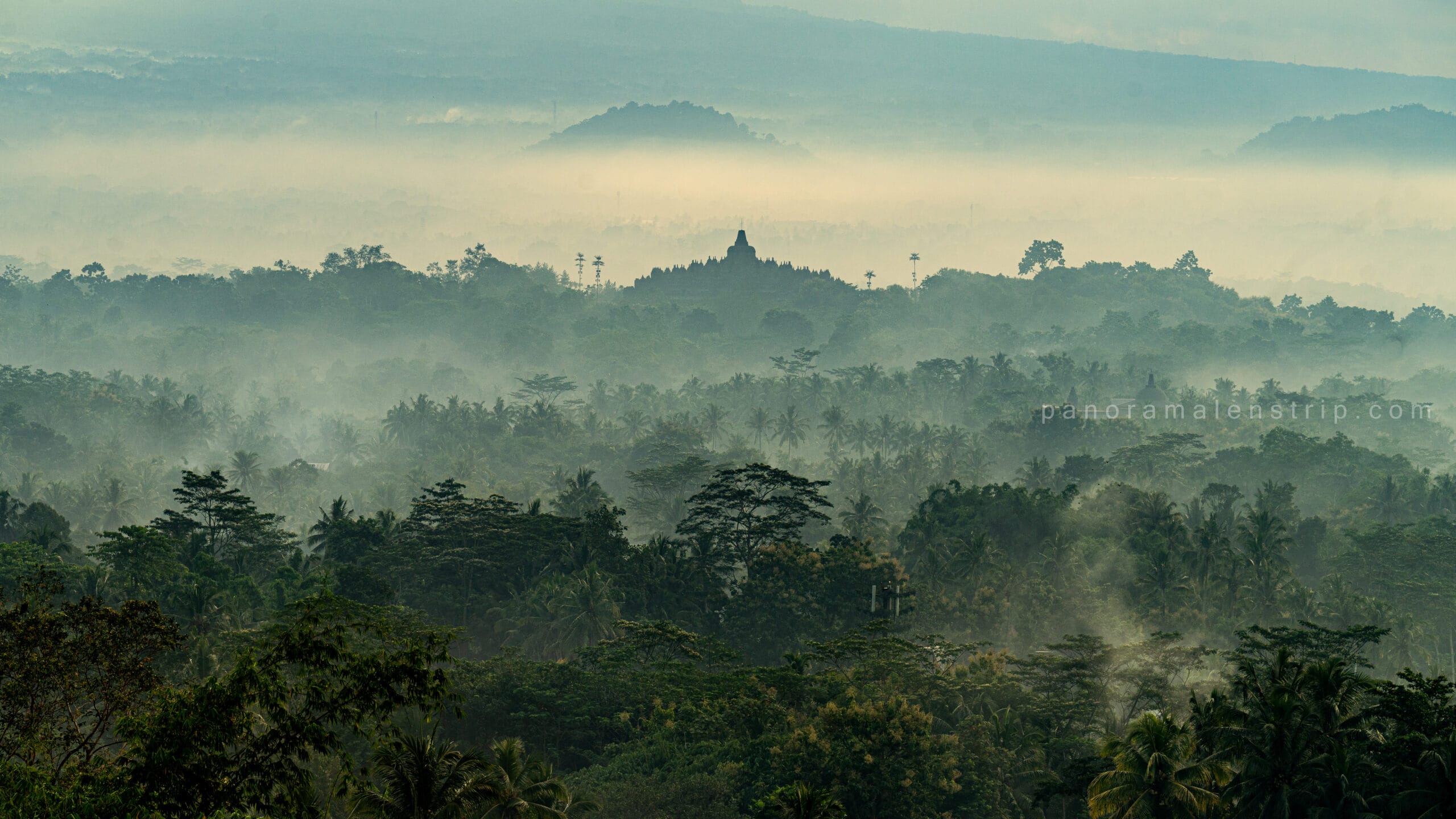 Borobudur tour sunrise view with misty tropical forest layers and the silhouette of Borobudur Temple rising through golden morning haze in Central Java, Indonesia — a poetic dawn scene with palm trees, soft sunlight, and serene jungle atmosphere.