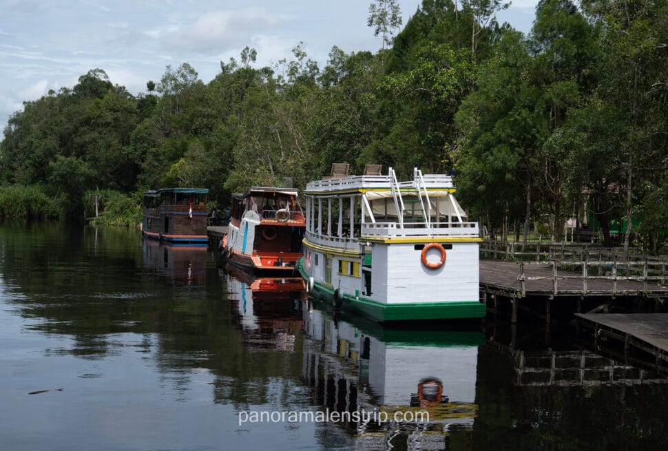 Several colorful wooden klotok houseboats docked at a wooden jetty along the riverbank in Borneo.