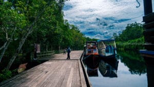 Traditional wooden klotok riverboats docked along a wide wooden boardwalk on a calm, dark river, surrounded by lush tropical rainforest under a cloudy sky.