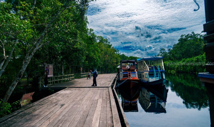 Tanjung Puting Photography Tour for Wildlife Shooters