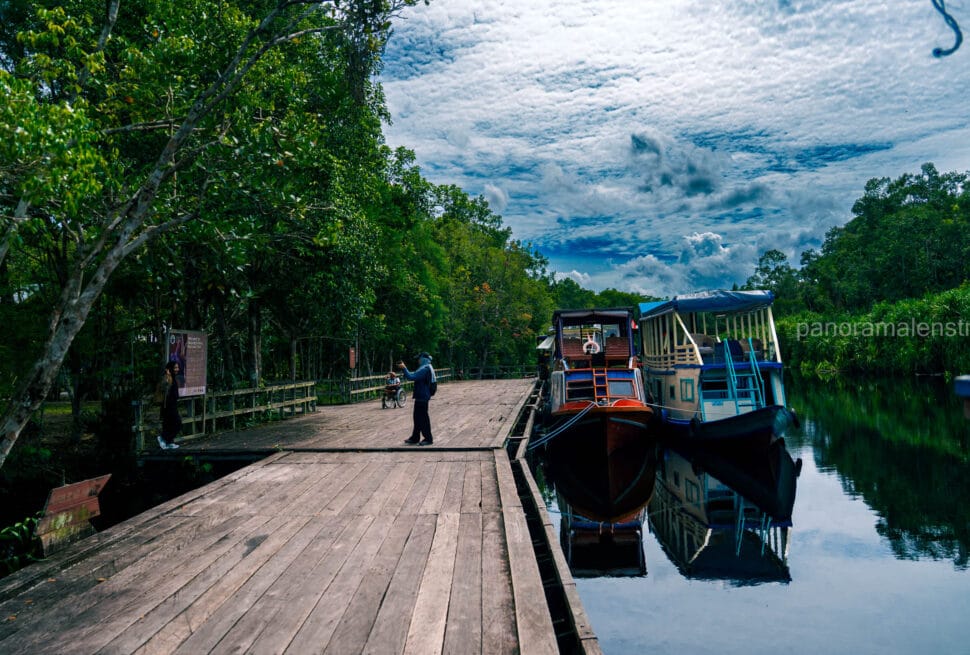 Traditional wooden klotok riverboats docked along a wide wooden boardwalk on a calm, dark river, surrounded by lush tropical rainforest under a cloudy sky.