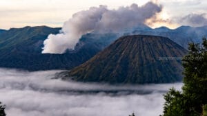 A wide view of Mount Bromo emitting white smoke next to the symmetrical Mount Batok, surrounded by a thick layer of morning mist under a soft sunrise sky.