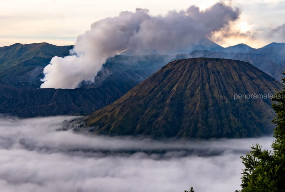 A wide view of Mount Bromo emitting white smoke next to the symmetrical Mount Batok, surrounded by a thick layer of morning mist under a soft sunrise sky.