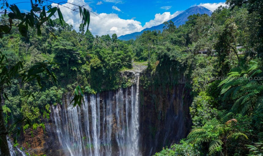 Tumpak Sewu Viewpoint vs Base: Which Is Better?