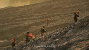 Tenggerese locals carrying long nets while climbing the steep, textured volcanic slopes of the Mount Bromo crater during golden hour.