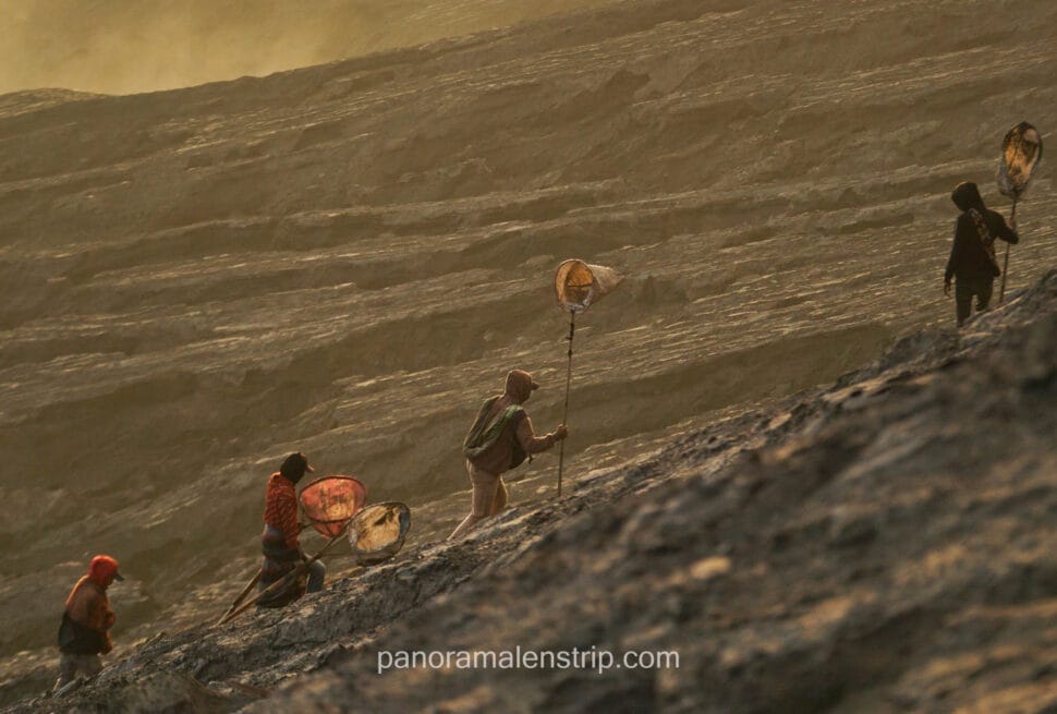 Tenggerese locals carrying long nets while climbing the steep, textured volcanic slopes of the Mount Bromo crater during golden hour.