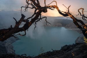 Twisted dead tree branches framing the turquoise acidic crater lake of Kawah Ijen at sunrise, with volcanic sulfur smoke rising in East Java, Indonesia.