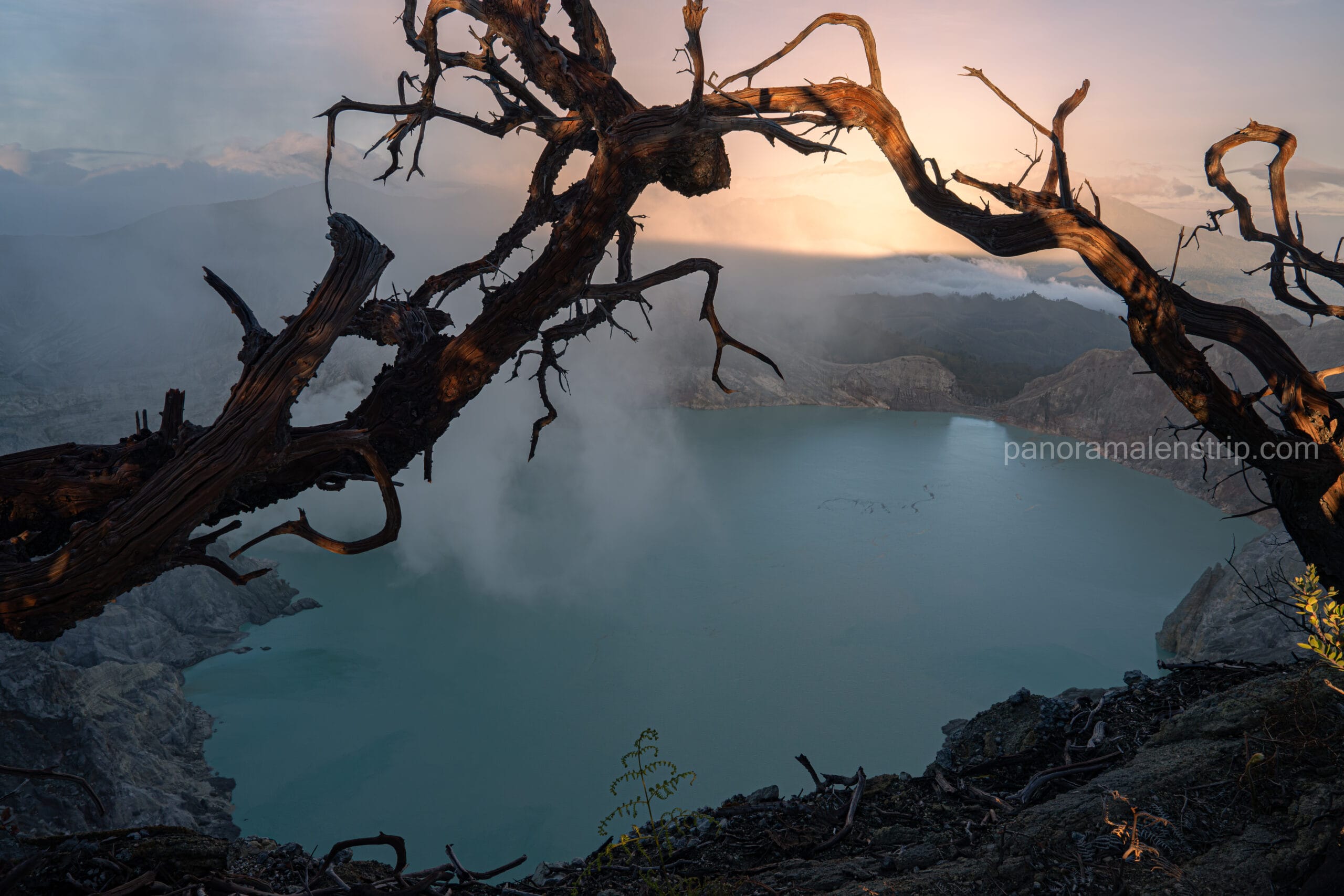 Twisted dead tree branches framing the turquoise acidic crater lake of Kawah Ijen at sunrise, with volcanic sulfur smoke rising in East Java, Indonesia.