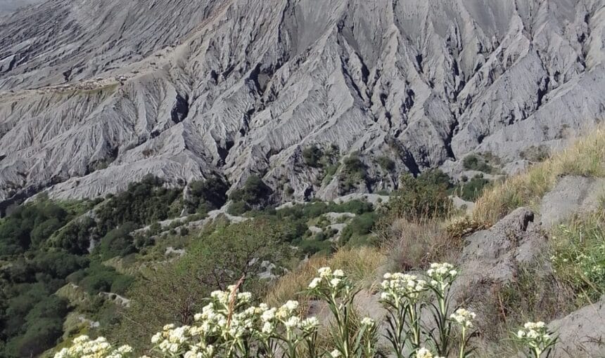 Mount Batok Trekking: Bromo Zone D Sunset Guide