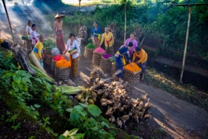 Women selling vibrant flowers at a traditional Balinese morning market while ducks are herded nearby.
