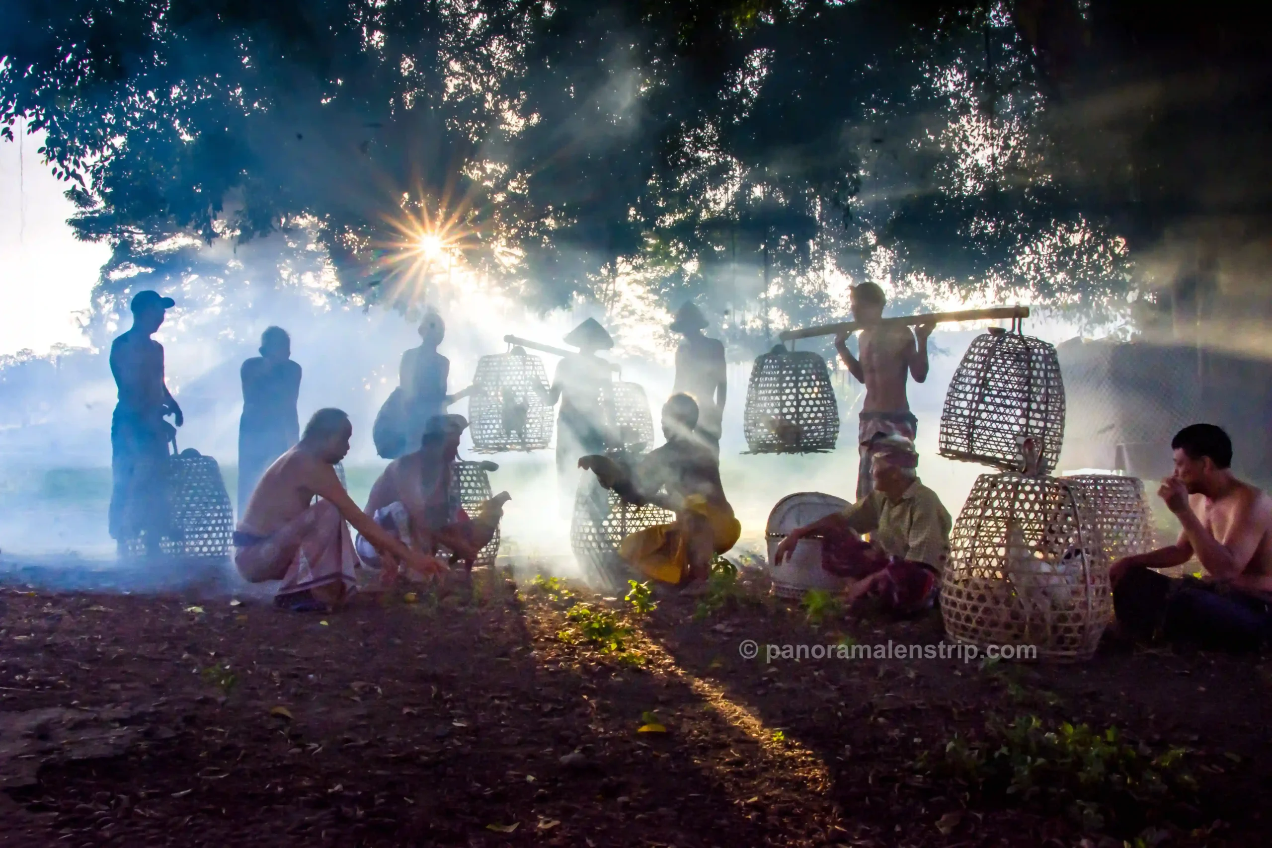 Men gathering with rooster cages in the morning mist at a Bali traditional village.