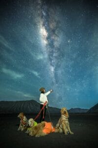 A traveler with several dogs stands on Widodaren Hill in Mount Bromo beneath a spectacular Milky Way and a star-filled night sky.