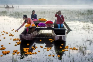 Balinese women on a wooden canoe scattering orange marigolds into the water as part of a Bali spiritual healing ritual.