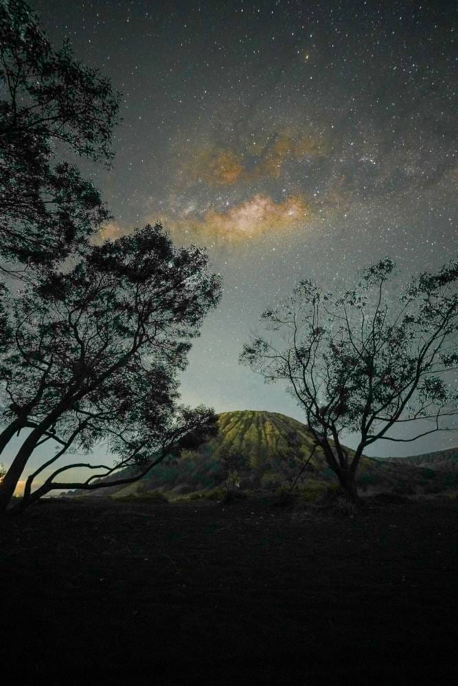Gunung Batok in Bromo framed by silhouetted trees under a glowing Milky Way night sky.