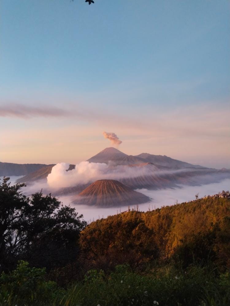 Bromo Volcano framed by Mentigen wood at sunrise in Penanjakan, East Java, Indonesia