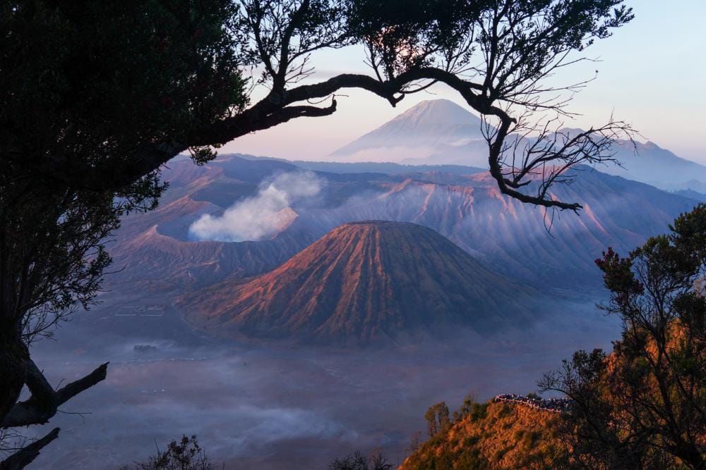 Scenic view of Mount Bromo framed by wooden branches from Mentigen at Penanjakan, East Java.