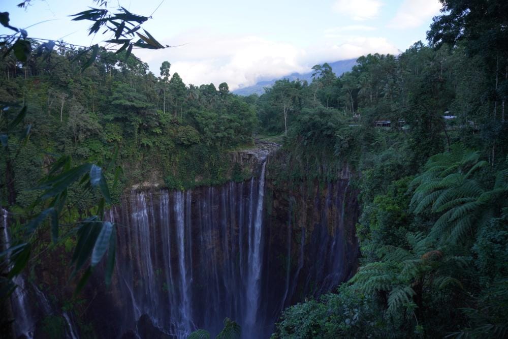 Daytime panoramic view of Tumpak Sewu Waterfall surrounded by lush green forest in Lumajang, Indonesia