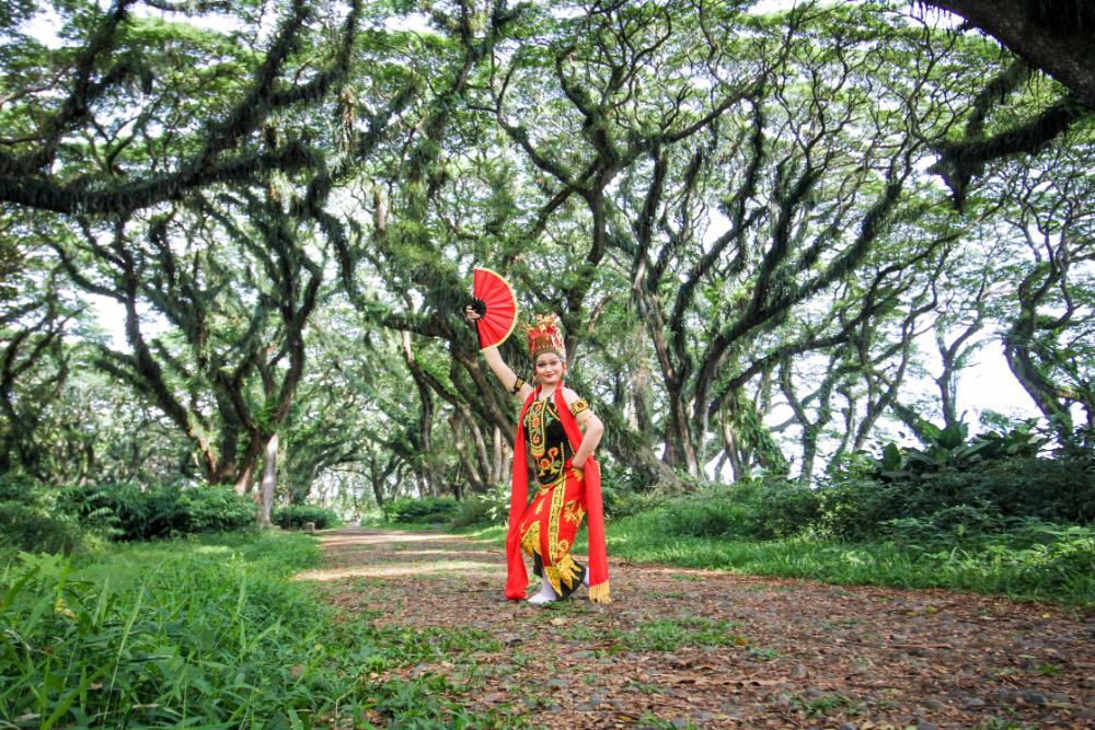 A Gandrung dancer in a red traditional costume poses with a fan beneath the towering trees at Djawatan Benculuk, Banyuwangi.