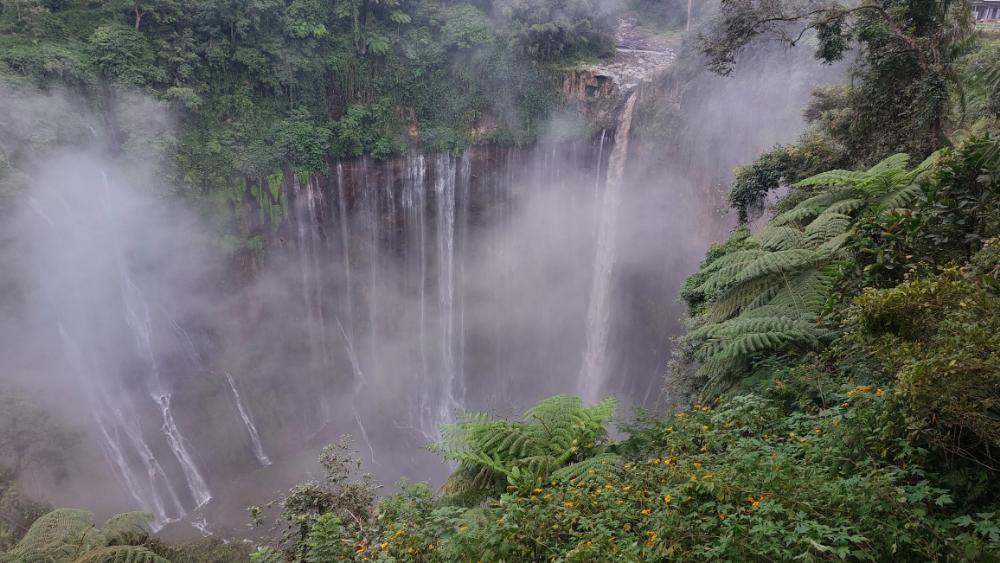 Tumpak Sewu Waterfall cascading through a lush green cliffside with mist rising in the valley